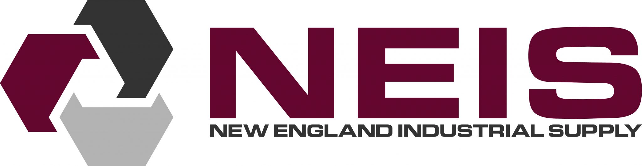 NEIS_FinalLogo2020